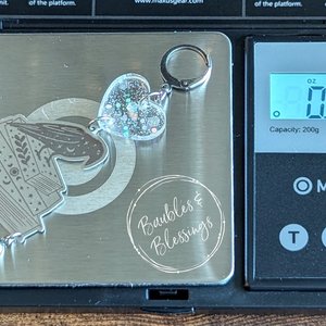 Stainless Steel & Glittery Acrylic Well-read Raven Earrings 
