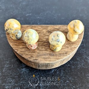 Crystal Mushrooms: Choose Your Stone