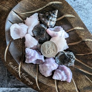 Seashells: Choose Your Stone